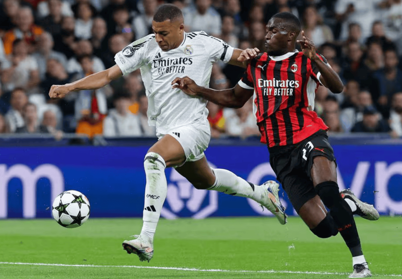 的投注决策 的投注决策