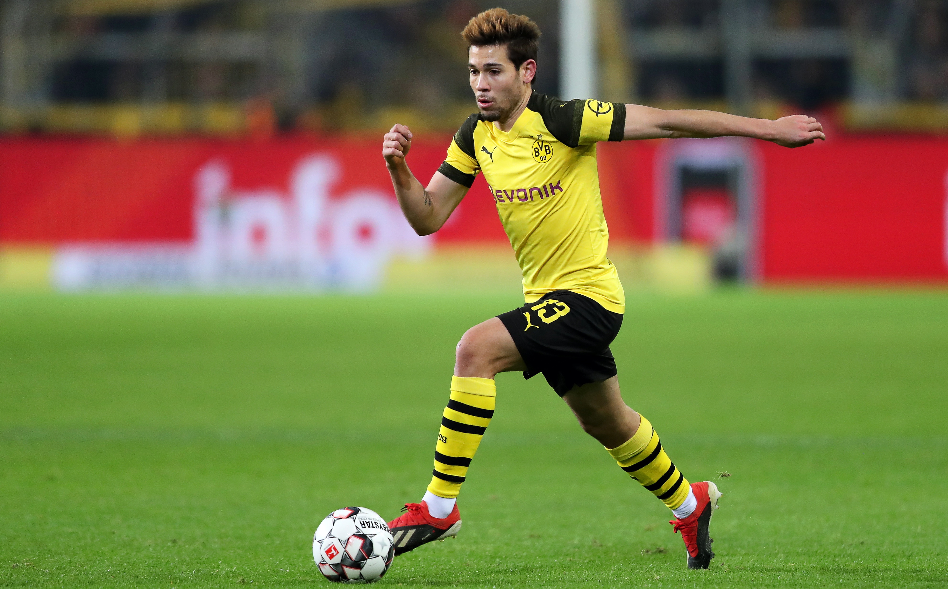 种过度的自 种过度的自