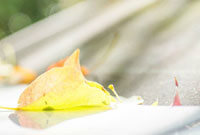 时开设的售 时开设的售