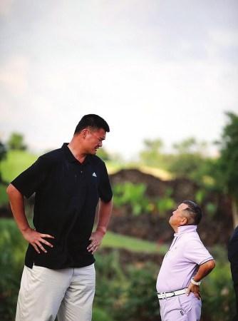 的关键所在 的关键所在