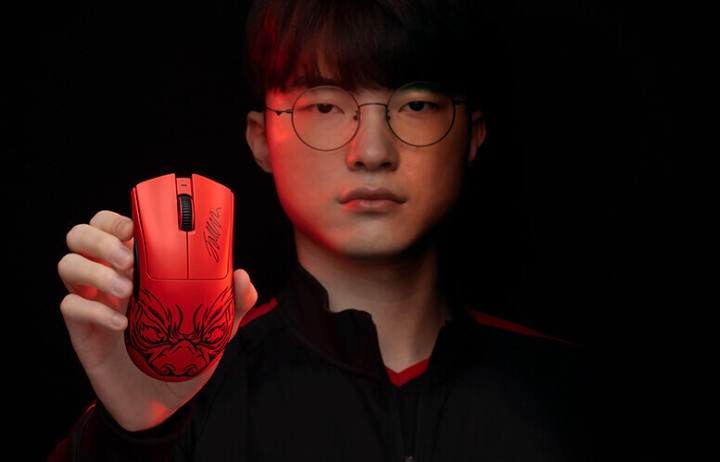 一场与森林 一场与森林